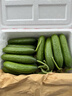 京鲜生 山东荷兰水果黄瓜净重5斤 单果70g+ 健康轻食早餐 源头直发 实拍图