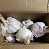 【营田半亩】蒜干蒜头蒜大蒜紫白皮大蒜当季蔬菜0.5-5斤 1斤带箱重【果径5-6cm】特大果 实拍图