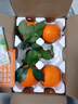 京觅江西赣南脐橙 9斤净重橙子单果180g起纽荷尔甜橙新鲜水果源头直发 实拍图