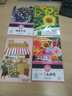 花沃里10款花种子套餐 花卉种子组合太阳花凤仙花向日葵四季种野花种籽 实拍图