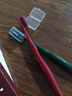 英国DR.WLEN迪王 情侣款牙刷 宽头深层清洁BBC细软毛成人牙刷 保护牙龈 2支装 实拍图
