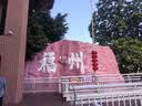 波斯（BOSI）重型钢丝绳剪刀多功能断线钳钢丝剪子铁丝剪 36寸 BS233614 实拍图