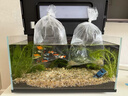 米家（MIJIA）智能生态鱼缸还原自然生态 智能鱼缸+滤芯套装 实拍图