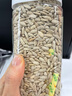 人民食品 有机熟葵花籽仁原味即食去皮脱壳原料烘焙休闲零食280g 实拍图