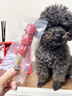 疯狂小狗狗零食新年糖葫芦肉干牛皮磨牙棒训狗奖励礼包装 酪酪糖葫芦130g 实拍图