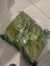 钟灵山罗马生菜400g 实拍图