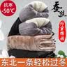 浪莎蚕丝保暖裤男加绒男士外穿东北特厚护腰护膝贴片秋冬防寒棉裤 实拍图