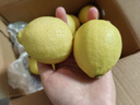 京鲜生 安岳黄柠檬16粒 单果95g-120g 生鲜水果 实拍图