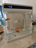 森森 超白玻璃智能鱼缸一体缸自循环家用水族箱HE-300 实拍图