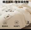 洁丽雅被子夏凉被空调被子棉被大豆纤维被单双人被子被褥加厚春秋四季 象牙白【A类裸睡级 抗菌抑菌】 150*200cm/7斤冬被 实拍图