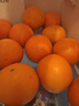 红都品冠25.3°赣南脐橙 6斤 铂金果 单果180-230g 生鲜水果礼盒 实拍图