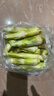 【现采现发】新鲜茭白时令蔬菜带壳茭白高笋应季美食农家自种包邮 现采带壳茭白1.6-2斤 净重 实拍图