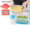 特百惠（Tupperware）冷冻700ml*2保鲜盒食品级冰箱储物收纳盒肉类速冻速解密封随机色 实拍图