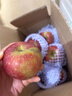 京喜加正宗昭通冰糖心苹果脆甜多汁 整箱2斤A+级中果【果径70-75】 实拍图