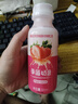 乳酸菌益生菌风味饮料乳酸菌饮品340ml/瓶早餐酸奶好喝 益生菌340ml*1瓶 实拍图