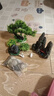 二月花鱼缸造景套餐一整套装饰品摆件仿真水草全套景观假山小缸造型内饰 35-E09套餐 适合长40/50cm的鱼缸 不包含鱼缸 实拍图