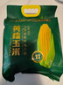 十月稻田 四平黄甜糯玉米 8根 3.52斤 东北黏玉米棒 真空包装 非转基因 实拍图