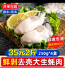 一虾一世界鲜活现剥去壳大号生蚝肉250g/盒 新鲜速冻牡蛎肉海蛎子火锅烧烤 2斤装 250g*4盒【固形物80%】 实拍图