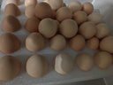 京鲜生可生食标准鲜鸡蛋30枚礼盒装3斤 源头直发 实拍图