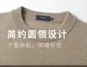 杉杉【重磅100%山羊绒】高端针织衫冬季圆领不掉色抗起球亲肤毛衣男 实拍图