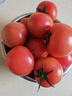 京鲜生 山东普罗旺斯番茄 净重4.5斤 单果125g+ 沙瓤西红柿 源头直发 实拍图