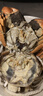 【活蟹】阳澄联合鲜活大闸蟹现货公3.5-3.8两 母2.5-2.8两 5对螃蟹年货礼盒源头直发 实拍图