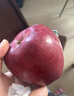 京鲜生 甘肃天水花牛苹果 又大又红 净重10斤 单果200g以上 新鲜水果  实拍图