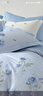 水星家纺四件套床上纯棉100%a类全棉透气被套床单双人1.5米×2米床蓝玫瑰家居馆 实拍图
