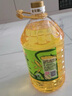 金龙鱼 食用油 非转基因 物理压榨玉米油6.18L（蕴含植物甾醇） 实拍图