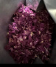 丙田 平阴玫瑰花瓣 玫瑰干花瓣茶可食用花碎泡水 做玫瑰酱烘焙糕点 平阴小花瓣50g*1袋 实拍图