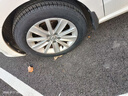 佳通轮胎(Giti)轮胎185/60R15 84H T20 适配 飞度/捷达/威驰/桑塔纳/polo 实拍图
