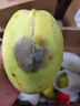 集南鲜 越南青玉芒果 芒果当季大青皮黄皮大芒果新鲜水果整箱 含箱10斤  单果200g起  净重9斤 实拍图