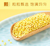 十月稻田 大黄米 2斤 黍米黄黏米粽子米 低脂粗粮杂粮 粘豆包原料 高蛋白 实拍图