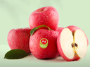 佳农烟台红富士苹果 净重10斤 特级果 单果240g+ 生鲜水果礼盒 实拍图