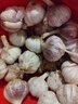京鲜生河南杞县大蒜带皮新鲜干蒜净重2斤 单果4.5-5cm 源头直发包邮 实拍图