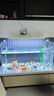 高清热弯浮法透明玻璃鱼缸客厅家用造景装饰生态中小型生态金鱼缸 热弯鱼缸-豪华升级套餐 长60*宽30*高35cm 实拍图