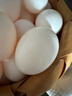 均鲜新鲜土鸽子蛋杂粮喂养农家特产白鸽蛋信鸽蛋孕妇宝宝年货节礼盒装 60枚1220g左右精选鲜鸽蛋 实拍图