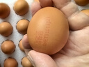 德青源谷物鲜鸡蛋30枚2.54斤 无抗生素 营养早餐 礼盒装 源头直发 实拍图