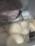 广州酒家 流沙凤凰包750g 20个 早餐半成品 广式早茶 包子食品 年货送礼 实拍图