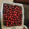 静羽智利车厘子4J级【JD/顺丰-多地次日达】5kg樱桃水果年货礼品盒装 5斤(净重) 精品礼盒【送礼推荐】 超大果 2J 单果28-30mm 实拍图