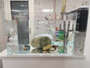YEE超白鱼缸桌面客厅生态斗金鱼乌龟缸造景小型水草养鱼玻璃裸缸50cm 实拍图