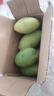 集南鲜 越南青玉芒果 芒果当季大青皮黄皮大芒果新鲜水果整箱 含箱5斤  单果250g起  净重4.5斤 实拍图
