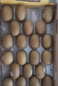佳沛（zespri）意大利 阳光金奇异果12粒礼盒特大果单果约122-146g 猕猴桃 水果 实拍图