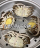 【活蟹】阳澄联合鲜活大闸蟹现货全母2.5-2.8两 8只生鲜螃蟹去绳足重海鲜礼盒源头直发 实拍图