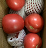 新鲜沙瓤大番茄生吃西红柿减肥早餐即食新鲜蔬菜生鲜单果＞100g 畅销装 2斤 带箱 实拍图