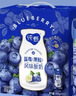 蒙牛纯甄蓝莓果粒风味酸奶200g*10盒 送礼盒装 实拍图