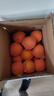 京觅秭归九月红果冻橙爆汁橙子净重7斤单果170g+新鲜水果源头直发包邮 实拍图