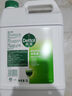 滴露（Dettol）消毒液5L大桶装消毒水家用商用工业车间酒店物业衣物环境消毒杀菌 实拍图