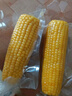 十月稻田 黄甜糯玉米 8根 3.52斤 真空包装 东北粘玉米棒 低脂早餐 实拍图