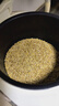 十月稻田 小麦仁 2斤 东北五谷杂粮米 全谷物 大米伴侣 低脂粗粮 高蛋白质 实拍图